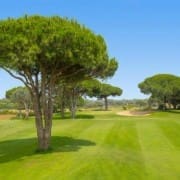 Novo Sancti Petri Golf Course