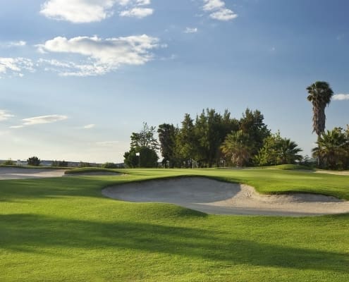 DOM PEDRO OLD COURSE