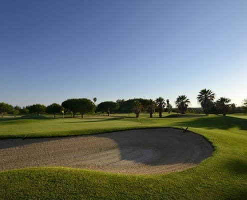 DOM PEDRO OLD COURSE