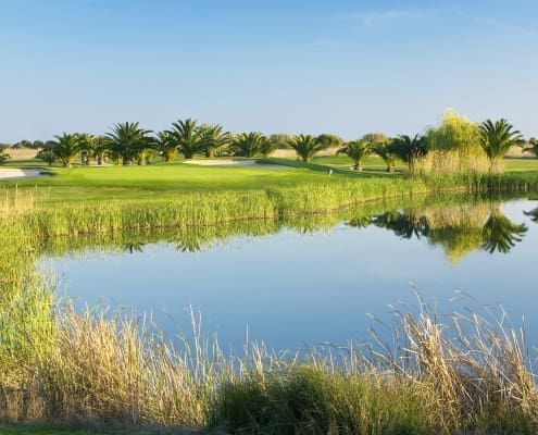 DOM PEDRO OLD COURSE