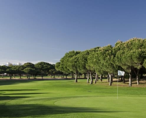 Dom Pedro Pinhal Golf Course